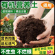 Nutrient soil, nutritious soil, universal soil for growing vegetables, special soil for home use, loose and breathable soil for strawberry succulent seedlings, universal organic nutritional soil 10Jin Jin is equal to 0.5kg