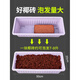 Flower Soil Coconut Brick Nutritional Soil Universal Flower and Vegetable Desalination Flower Soil Brick Large Turtle Climbing Pet Mat Potted Plant Imported Large Coconut Brick 2 Pieces + 9Jin Jin equals 0.5kg Bio-organic Fertilizer Suitable for Growing Vegetables