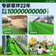 14-pin extra dense high-end artificial artificial fake lawn plastic lawn carpet fake turf outdoor matting balcony green boundary dense velvet model 2.5 cm thick 3 meters wide * 14 meters long