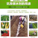 Water-retaining agent drought-resistant agricultural water-locking and moisturizing ultra-high water-absorbent soil improvement manufacturer wholesale drought-resistant and water-retaining 25 kg powder 800 times
