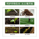 Yonghuan soil conditioner loosens the soil to improve fertilizer efficiency without deep plowing to improve hardening of saline-alkali crops and microbial fertilizers benefit all living beings 500g*10 bags price