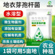 Yong Huan Water-Soluble Bacillus Licheniformis Soil Fertilizer Fertilizer Effective Microbial Bacteria Planting Repeated Crop Dissolving Bacteria Fully Water-soluble 500g/pack
