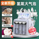Han Liya Small Bubble Instrument Institute's special blackhead facial introduction oxygen injection device hydrogen and oxygen bubbles double pump gray hydrogen and oxygen eight-in-one mask + vanadium and titanium delivery