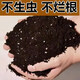 Soil nutrient soil universal type 40 Jin Jin is equal to 0.5 kg. Large package for flower and green plant planting household soil potted green plants organic soil vegetables. 40 Jin Jin is equal to 0.5 kg. Nutrient soil. Universal plant has been insecticided.