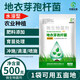 Yong Huan Water-Soluble Bacillus Licheniformis Soil Fertilizer Fertilizer Effective Microbial Bacteria Planting Repeated Crop Dissolving Bacteria Fully Water-soluble 500g/pack