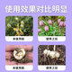 Yonghuan Fengzetong Fritillaria special soil conditioning rooting, strong seedlings and dead trees control soil-borne root rot 1 bag (one acre)