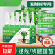 Money tree regeneration agent to revive flowers, green plants, potted plants, general light rod fertilizer, yellowing and succulent growth nutrient solution, money tree special regeneration agent, 6 boxes/36 pieces