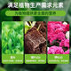 Special nutrient soil for growing vegetables on the balcony. Special soil for growing vegetables on the balcony. Organic nutrient soil. Pastoral soil. Flower soil. Vegetable planting. Long-lasting fertilizer effect. Special soil for growing vegetables. 50Jin. Jin is equal to 0.5kg (high germination rate, good root strength and seedlings).