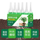 Money tree regeneration agent to revive flowers, green plants, potted plants, general light rod fertilizer, yellowing and succulent growth nutrient solution, money tree special regeneration agent, 6 boxes/36 pieces