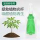 Money tree regeneration agent to revive flowers, green plants, potted plants, general light rod fertilizer, yellowing and succulent growth nutrient solution, money tree special regeneration agent, 6 boxes/36 pieces