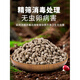 Pumice particles, pumice bowl bottom, orchid stone, comparable to Hinata stone, succulent orchid pavement bottom, aquarium filter material, whole package, 6-9MM orchidaceae pumice, 5 liters, finely screened large particles