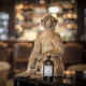 MONKEY 47 gin foreign wine German gin wine Black Forest Monkey King 47 dry gin wine flavor preparation wine 500ml Mid-Autumn Festival gift