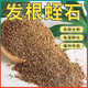 Vermiculite granules for cutting rose perlite flowers for turtle egg hatching special white vermiculite nutritious soil meaty large gold medical stone 3-5 9.5Jin Jin is equal to 0.5 kg