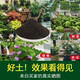 Nutrient soil for flower cultivation, organic soil, succulent, golden kudzu rose pots, universal planting soil for soil flowers, vegetable soil, finely matched universal type, nutritious soil, breathable 40Jin, Jin is equal to 0.5kg