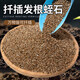 Vermiculite granules for cutting rose perlite flowers for turtle egg hatching special white vermiculite nutritious soil meaty large gold medical stone 3-5 9.5Jin Jin is equal to 0.5 kg