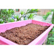 Coconut powder, coconut bricks, coconut bran, coconut soil, orchid soil, nutritious soil, soilless cultivation, pet bedding, vegetable planting, desalted soil, 1 coconut brick + 1 bag of 200g organic fertilizer