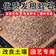 Vermiculite granules for cutting rose perlite flowers for turtle egg hatching special white vermiculite nutritious soil meaty large gold medical stone 3-5 9.5Jin Jin is equal to 0.5 kg