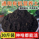 Nutrient soil for flower cultivation, organic soil, succulent, golden kudzu rose pots, universal planting soil for soil flowers, vegetable soil, finely matched universal type, nutritious soil, breathable 40Jin, Jin is equal to 0.5kg