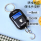 Baijie portable electronic scale portable portable scale mini electronic scale spring hook scale weighing vegetables weighing high-precision luggage scale