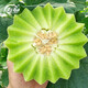 Shouhe Xinjiang Hami melon seeds from the south and north, early-maturing super sweet Xiangfei reticulated honeydew melon seeds, Shouhe jade mushroom melon seeds 30 pieces/thick flesh and small cavity