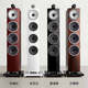 B/W Baohua Wei Jian 700 Serie 702S3 Floor-standorientiertes Hauptredner + PM10S1-Verstärker Hi-Fi HiFi Heimkino 2.0 Passiver Audio-Lautsprecher Set
