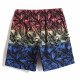 Gailang Water Park Beach Hosen Schnelltrocknen können Shorts ungezwungene große Hosen Beach Urlaubsbox Schwimmboden H1381 Gradient Leaf 3xl