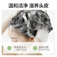 柏缇北非雪松控油蓬松洗发水 清爽去屑止痒留香氨基酸洗发露 505ml 