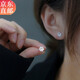 Warme Farben Commuting Intellectual Snowflake Silver Needle Earrings Feminine Student Simple Sleeping No-Pick Earrings Valentine's Day Gift Snowflake Earrings