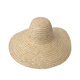 Dr Lao LBS826 Protection de main-d'œuvre Chapeau de paille Farmer Protection Sun Protection solaire Chapeau de construction du chape