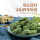 Peking Tongrentang Sanqihua Yunnan Wenshan Special Wild Vierjähriger Pflanze Qihua Health Tee ausgewählt Vierjährige neue Blume 100g