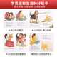 【全新】英文原版进口 Biscuit 小饼干狗英文 大全套28册（18册盒装+8册My First+2册Level 1） I Can Read系列 分级阅读绘本