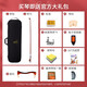 凤灵小提琴成人儿童专业演奏级初学者入门欧料手工琴进口10年实木L6 4/4适用高155-220cm
