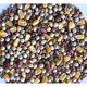 Pigeon food without corn pigeon food wholesale pigeon food racing pigeon nutritional food pigeon food young pigeon meat pigeon old pigeon pigeon food pigeon food with corn 5Jin Jin is equal to 0.5 kg