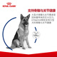 Royal Canin Food Adult Dog Food Dog Food Pet Large Dog GR26 Full Price Dog Food 15 Months 15KG