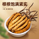 Juhe Taitou Cordyceps Regalos Regalos de regalos de regalos Año Nuevo para vacaciones Ancianos y ancianos Tonic Suplementos nutricionales [4 palos/g 40 palos-10 gramos] Recomendación de regalos