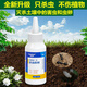 Tang Benchen Lvqing's dilution-free plant nutrient solution is a general-purpose gardening green plant bonsai activation nutrition that specializes in treating yellow leaves and non-flowering soil pesticides + plant nutrient solution