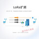 SX1278芯片LORA扩频RS232/485通讯模块无线数传电台DTUModbus 需要电源 AS32-DTU-1W 胶棒天线(赠送