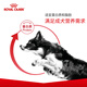 Royal Canin Adult Dog Food Dog Food General Dog Type CC General Food December 3KG
