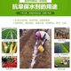 Agricultural and forestry water-retaining agent, drought-resistant agricultural water-locking and moisturizing, ultra-high water-absorbent soil improvement manufacturer wholesale drought-resistant water-retaining agent 1kg powder 800 times
