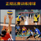 
Li Ning Volleyball Adult Professional Competition Level Special Ball Standard No. 5 Ball Student Professional Player Training Ball No. 5 Yellow/Green 719-2