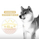 ROYAL CANIN Royal Dog Food SIA26 Shiba Inu Adult Dog Food Full Price Food Medium-sized Dog Adult Dog Healthy Skin and Coat Over 10 Months SIA26 Shiba Inu Adult Dog 3KG