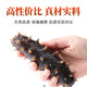 Dong Erpang Organic Dalian Sea Cucumber Fresh Sea Cucumber Ready-to-Eat No-Wash Individually Packed Gift High-Quality Fresh Aquatic Products 7A 7-9 pieces/1Jin Jin is equal to 0.5kg 2Jin Jin is equal to 0.5kg (SF Cold Chain Preservation)