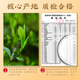 Zhonggu Imperial Tea Oolong Tee Dahongpao Spezial Blumenduft Wuyi Rock Tee kann kalte Tee Geschenkbox 200g gekocht werden
