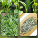 Ganxiangpo Xiangzhen Green Tea 2024 New Tea Yunnan Green Tea Strong Fragrance Type Hair Tip Spring Tip Silver Silk Pine Needle 2024 Green Tea Pine Needle Bag 500g