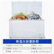 Lechenxin BD/BG-1000 Freezer Commercial Large Capacity Refrigerator Freezer Single Temperature Horizontal Capacity 1000L