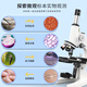 TIENIU Microscope optique pour les élèves du secondaire avec une observation des acariens pour les cellules bactériennes pour l'expérience en sciences des enfants pour l'examen d'entrée au lycée Double focus + l'étrier + écran d'affichage intelligent