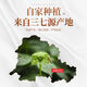 Peking Tongrentang Sanqihua Yunnan Wenshan Special Wild Vierjähriger Pflanze Qihua Health Tee ausgewählt Vierjährige neue Blume 100g