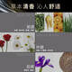 施华蔻（Schwarzkopf）防落发调理修护洗发水600ml【临期清仓】