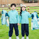 
Xinkepai Children kindergarten clothing spring and autumn clothing winter class clothing sportswear elementary school uniform autumn and winter clothing three-piece suit windbreaker suit girls winter and summer five-piece suit = A711+6626 120
