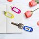 Deyin Colorful Key Key Chain Chain Classification Marc Key Tag Marque 9848 Clé Mation de gestion Bag étiquette de clé Stick Stick Office fournit 50 pièces / boîte